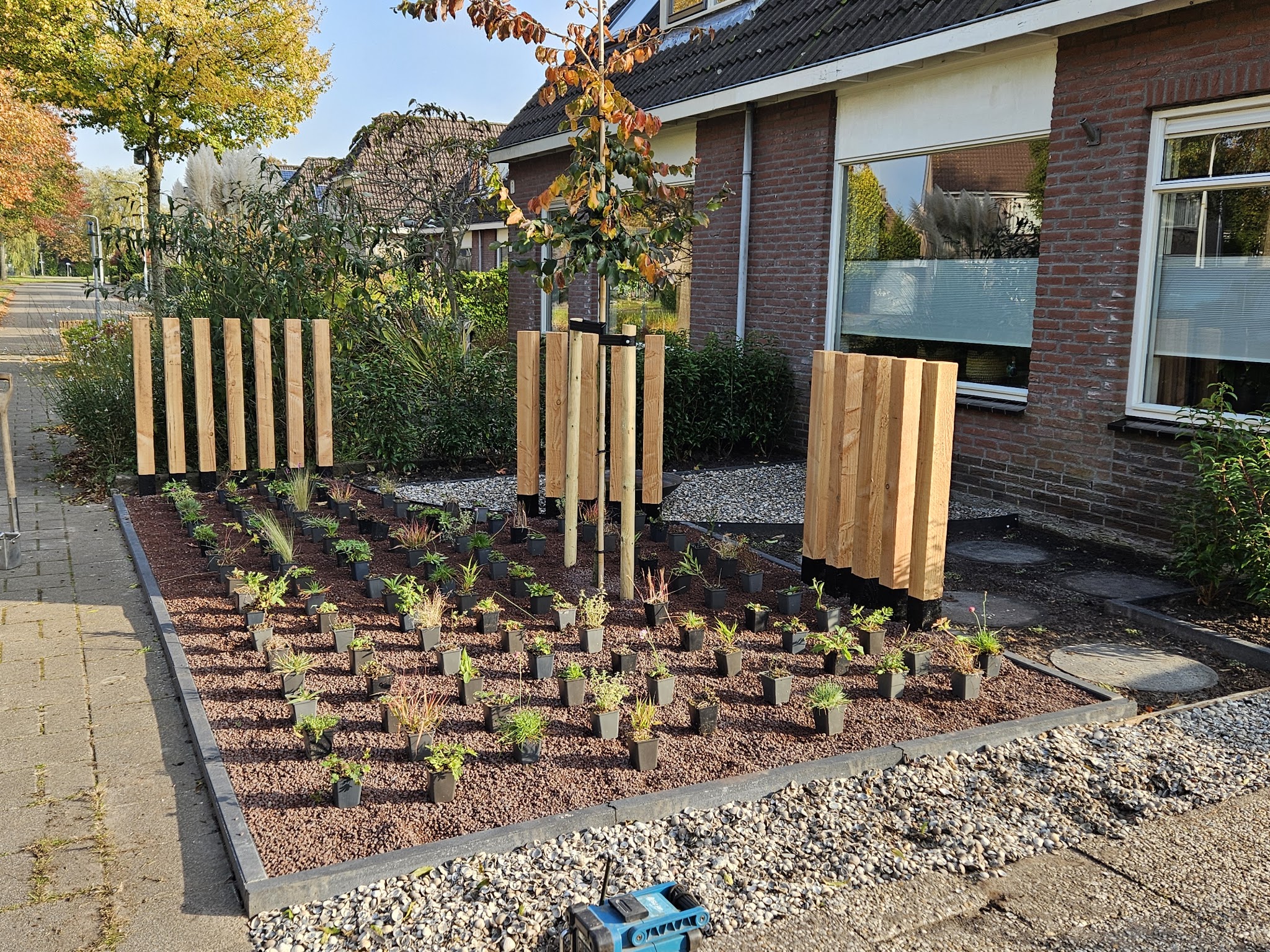 Voortuin tijdens de aanleg, met vaste planten nog in pot uitgezet op een bed van lavasplit
